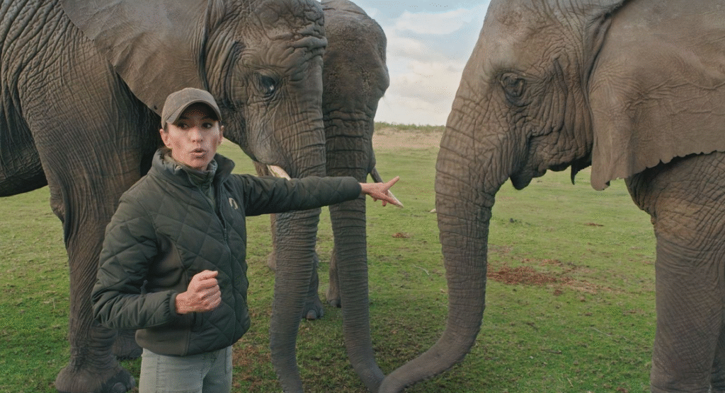 ‘Dra. Fabiola Jones’ vence a un ‘Gran Hermano’ agonizante