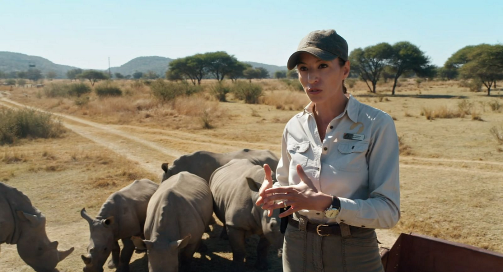 ‘Dra. Fabiola Jones’ lidera el jueves