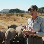 La ‘Dra. Fabiola Jones’ se enfrenta al furtivismo que amenaza a los rinocerontes