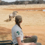 ‘Dra. Fabiola Jones’ enseña el traslado controlado de ñus y la búsqueda del tiburón blanco
