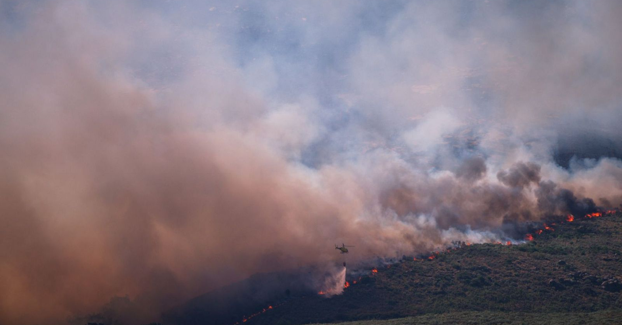 ‘Directo al grano’, ‘Malas lenguas’ y ‘Aquí la Tierra’ se vuelcan con la última hora de los incendios que asolan España